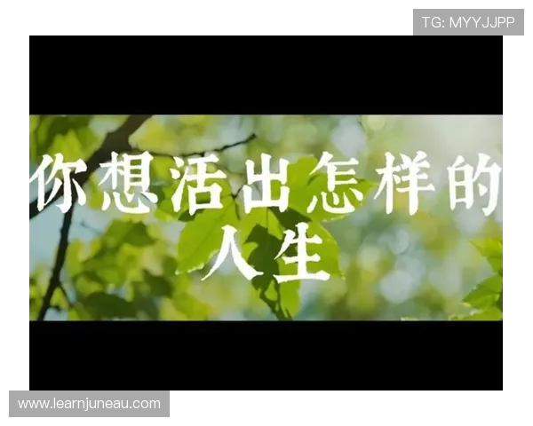 Z6人生：从零开始打造属于你的精彩人生新篇章