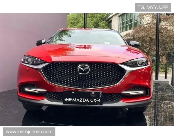 探索z6尊龙的车型设计与工艺，体验不一样的驾驶乐趣与舒适感