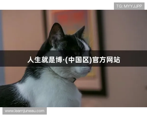 尊龙人生就是博爱：从游戏角色塑造中领悟无私奉献的深层次意义